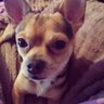 LoreCroft's profile picture