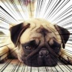 相楽's profile picture