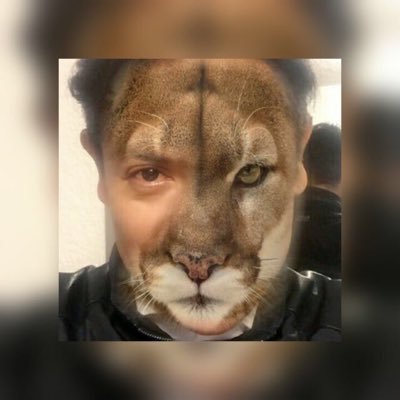 Gabriel PUMA's profile picture