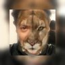 Gabriel PUMA's profile picture