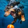 🐾Me 的头像
