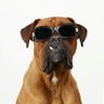 Profilbild von R.D. McCutchens