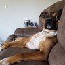 CreshawCrypto's profile picture
