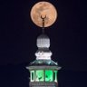 Фото профиля سالم
