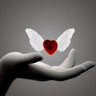 الهلال فقط هو الحياه's profile picture