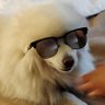 Profilbild von dave