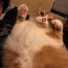kat's profile picture