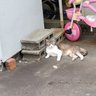 たまさん profil fotoğrafı