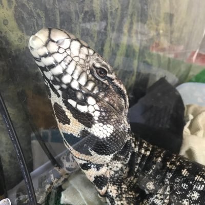 Nidhogg000's profile picture