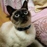 Фото профиля いぶき