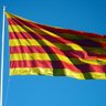 Miquel Soler Colomer's profile picture