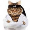 Фото профиля Mr. Meowgi 🐱