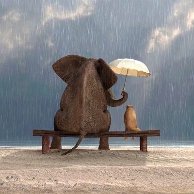 William889d's profile picture