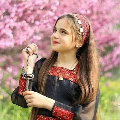 reempalestine's profile picture