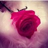 انفاس العطر's profile picture
