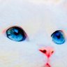 via's profile picture