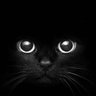 NegroGato's profile picture