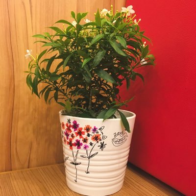 ต้นไม้ของเตนล์ 🌱's profile picture