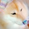 Фото профиля ななふし
