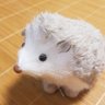 にこ's profile picture