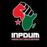 Profilbild von International People’s Democratic Uhuru Movement