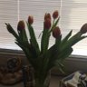 Фото профиля annapetit
