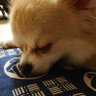 雨空's profile picture