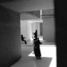 hachi.name🐶's profile picture