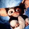 Фото профиля ドン ・ペキンパー tm_gimel