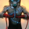Profilbild von Party Wolf