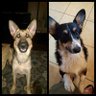 BSantander profil fotoğrafı