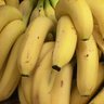 Фото профиля Twisted Banana Productions