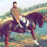 eyad al shalabi's profile picture