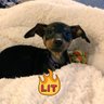 Charbie’sWorld's profile picture