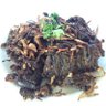 Фото профиля BaladoPedas