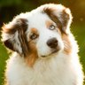Profilbild von Douche WatchDog