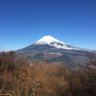 グーラフ's profile picture