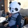 Фото профиля 🐼DJDazzyDeaf🐼