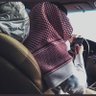 Ali faqihi's profile picture