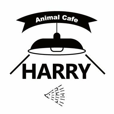 カワウソカフェ®︎HARRY原宿テラス店's profile picture
