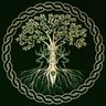 Bernbaume's profile picture