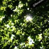 Фото профиля AlteRenet