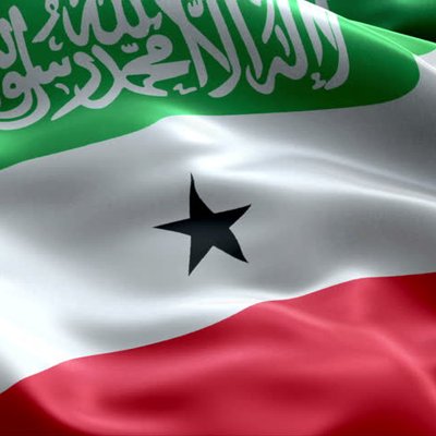 SomalilandChro1's profile picture