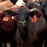 colin wientjens's profile picture