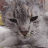 Agnieszka J. profil fotoğrafı