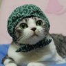 啊呜 profil fotoğrafı