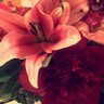 sira alshatti's profile picture