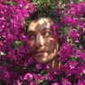 Pablo Ucha's profile picture