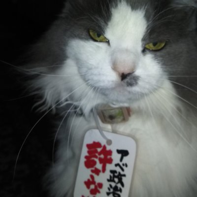 I6E70p8zC0lWXfs's profile picture