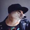Triggerhappy Doge 的头像